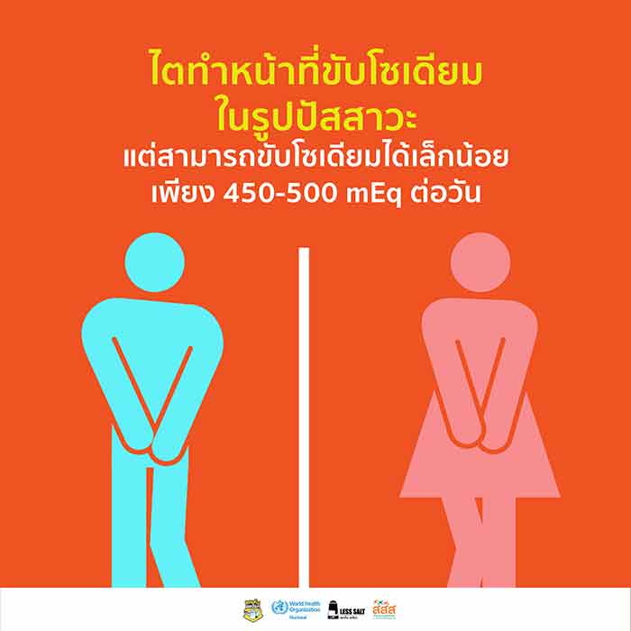 อาหารโซเดียมสูง อาหารโซเดียมสูง
