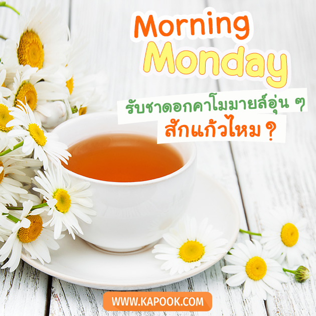 ดูดวงวันนี้ 11 ธันวาคม 2566 ดูดวงวันนี้ 11 ธันวาคม 2566