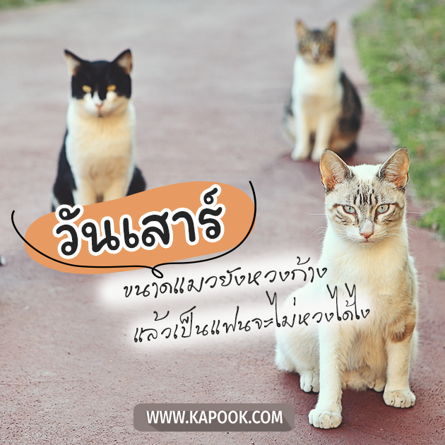 ดูดวงวันนี้ 6 พฤษภาคม 2566 ดูดวงวันนี้ 6 พฤษภาคม 2566