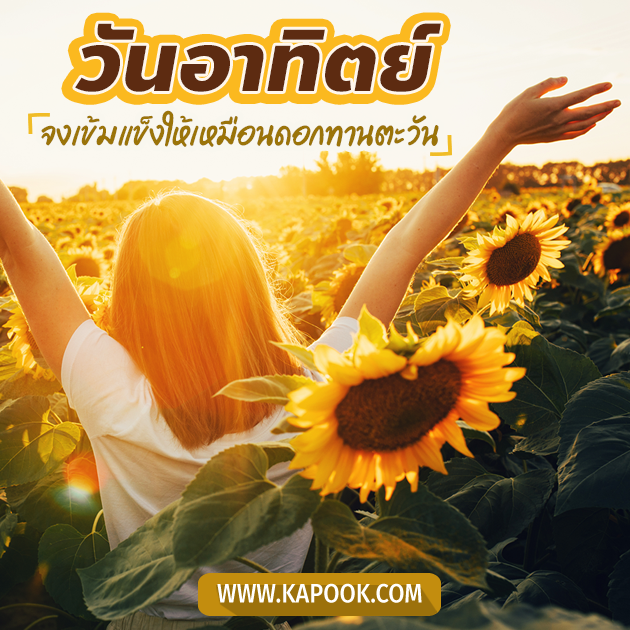 ดูดวง 1 มกราคม 2566 ดูดวง 1 มกราคม 2566