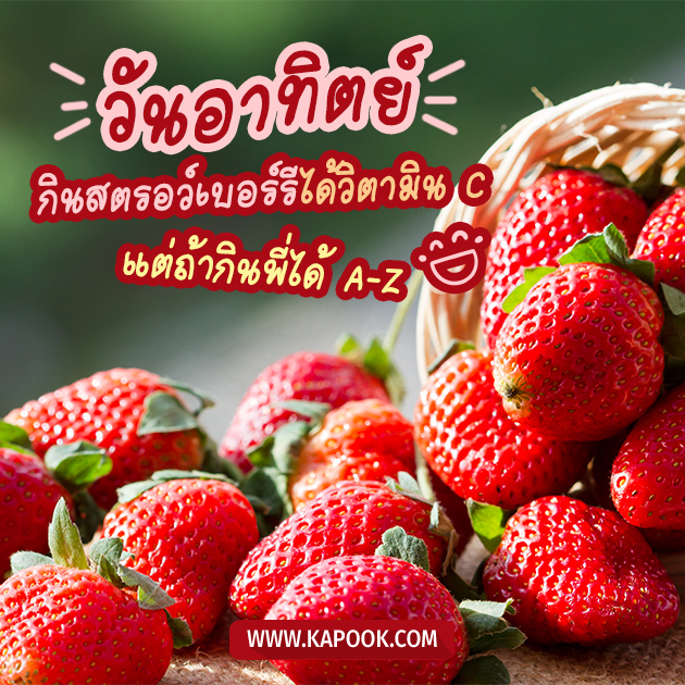 ดูดวงวันนี้ 9 เมษายน 2566 ดูดวงวันนี้ 9 เมษายน 2566