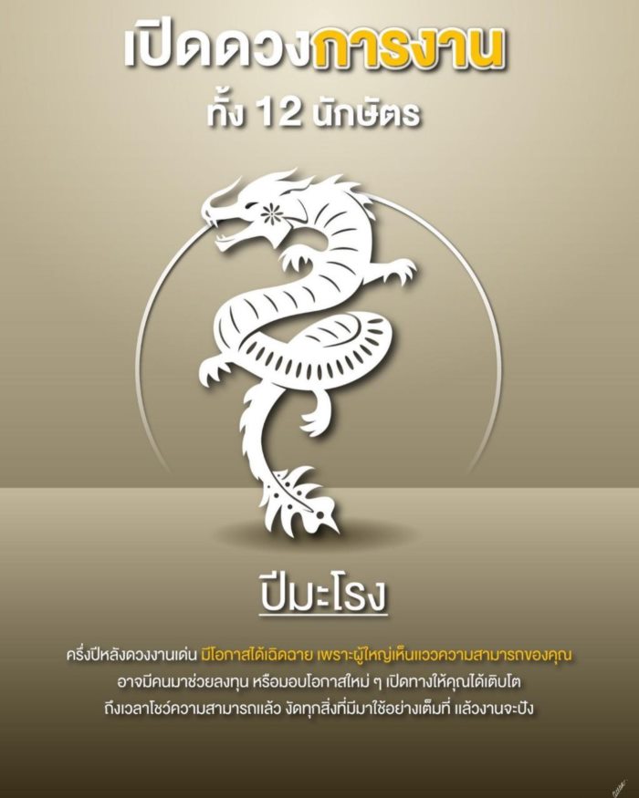 ปีนักษัตร ปีนักษัตร
