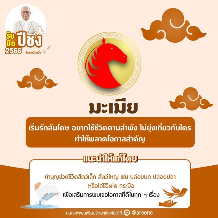 ปีชง ปีชง