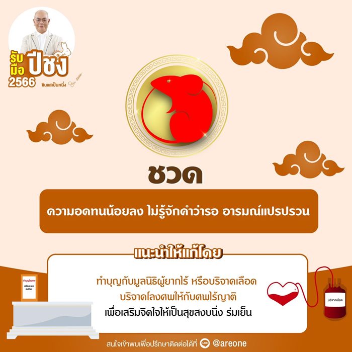 ปีชง ปีชง