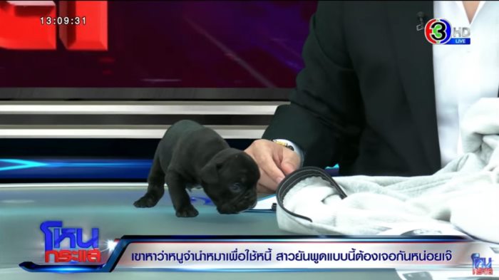 โหนกระแส โหนกระแส