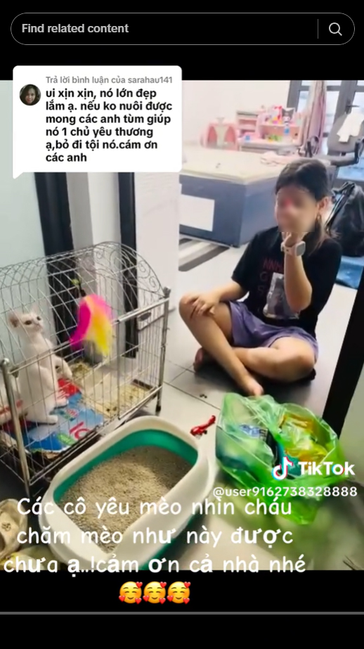 เซอร์ไพรส์สุดน่ารัก เซอร์ไพรส์สุดน่ารัก