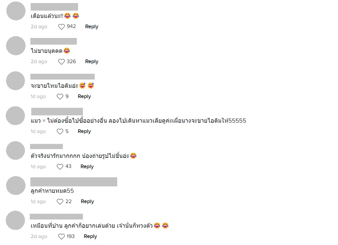 แมว แมว