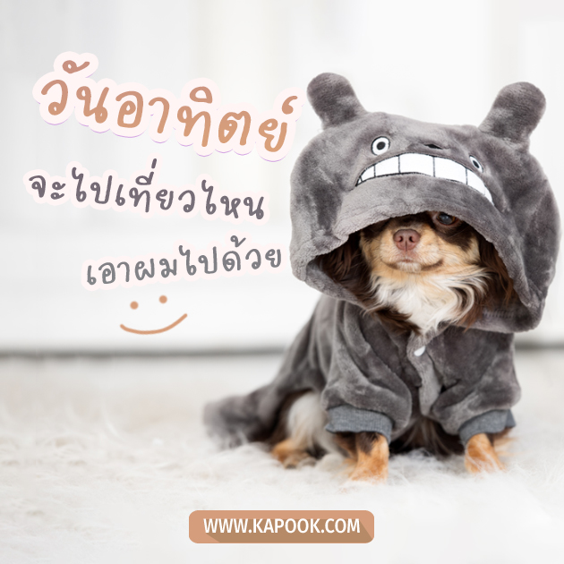 ดูดวงรายวัน วันที่ 30 เมษายน 2566 ดูดวงรายวัน วันที่ 30 เมษายน 2566