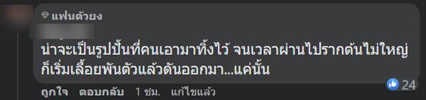 แม่นางโพธิ์รัด แม่นางโพธิ์รัด