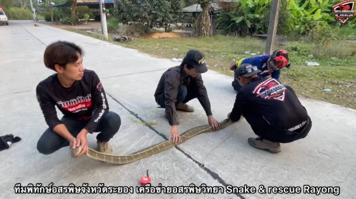 เลขเด็ดงวดนี้ เลขเด็ดงวดนี้