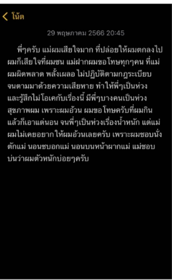 แมวตกคอนโด แมวตกคอนโด