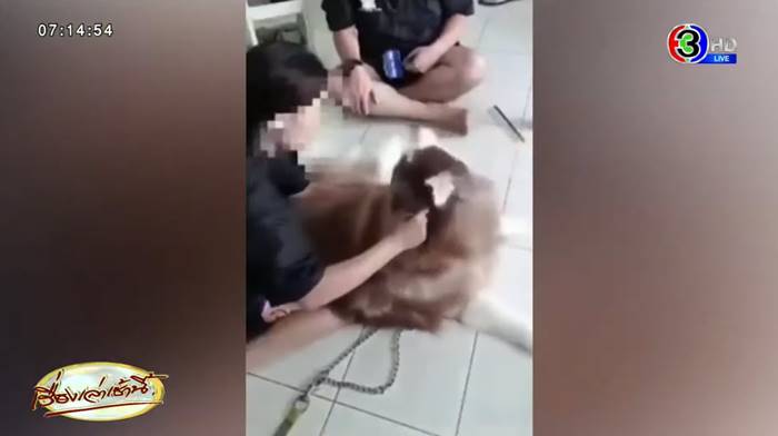 อาบน้ำหมา อาบน้ำหมา