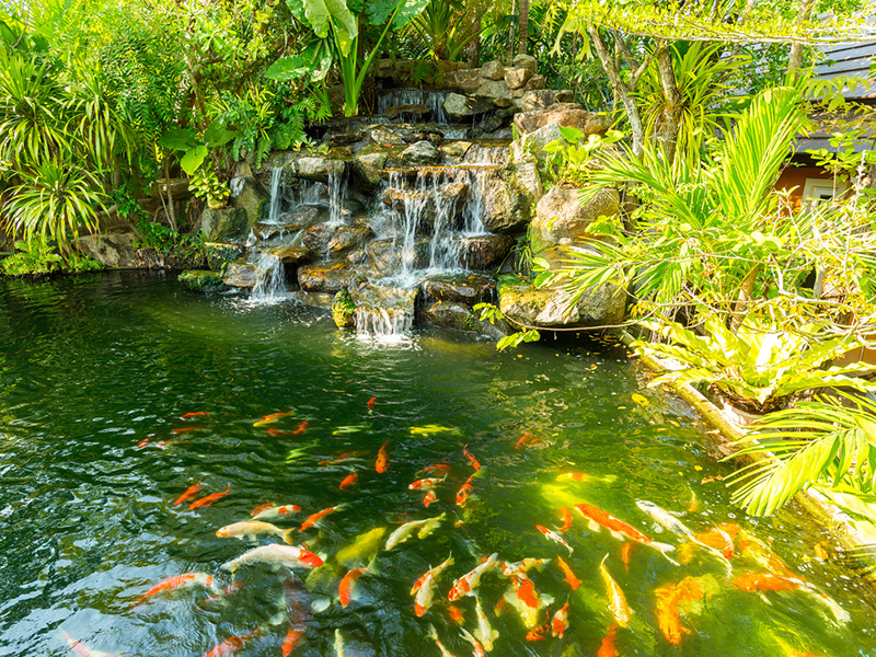 ที่เที่ยวภูเก็ต ที่เที่ยวภูเก็ต