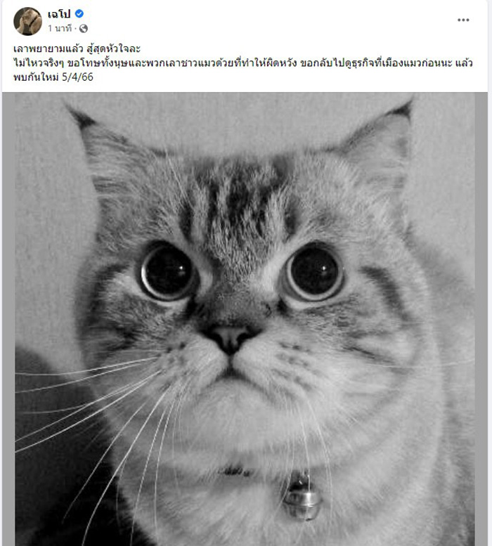 พี่เฉโป พี่เฉโป