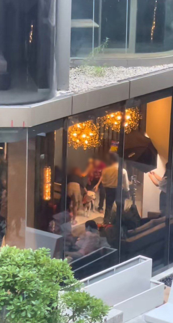 คุณหนูดิ๊กกี้ น้องหมาคอนโด 30 ล้าน  คุณหนูดิ๊กกี้ น้องหมาคอนโด 30 ล้าน