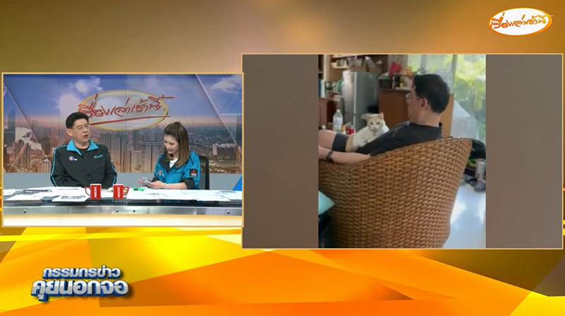 สรยุทธ เปิดตำนานใหม่ จากเลี้ยงไม่ได้จริง หมา แมว สรยุทธ เปิดตำนานใหม่ จากเลี้ยงไม่ได้จริง หมา แมว