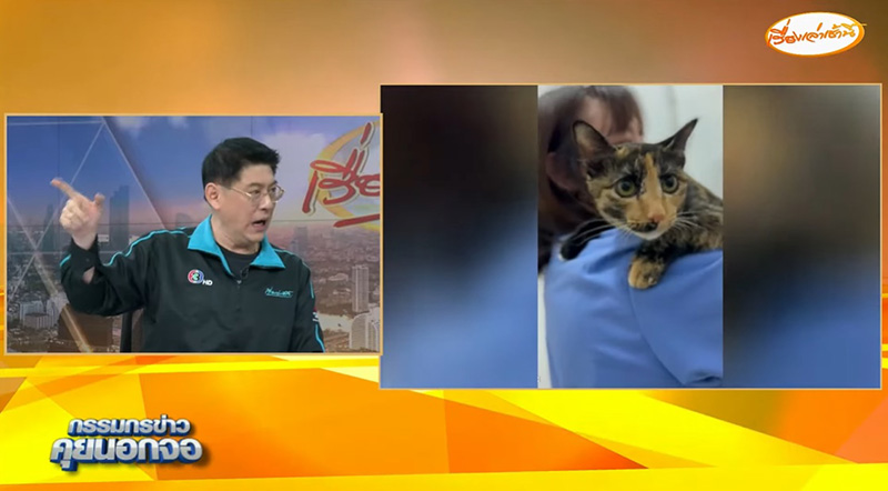 สรยุทธ เปิดตำนานใหม่ จากเลี้ยงไม่ได้จริง หมา แมว สรยุทธ เปิดตำนานใหม่ จากเลี้ยงไม่ได้จริง หมา แมว