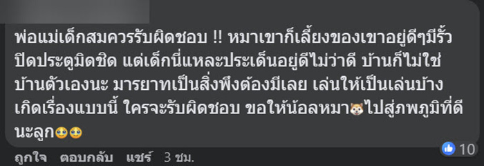 คอมเมนต์ คอมเมนต์