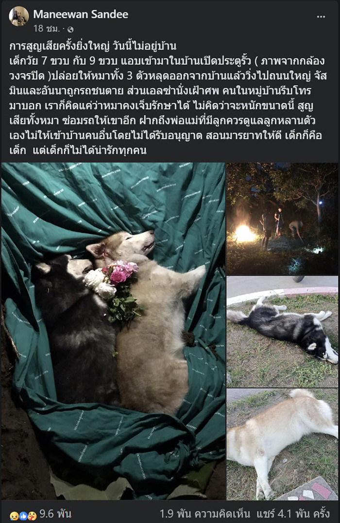 เจ้าของหมาใจสลาย เจ้าของหมาใจสลาย