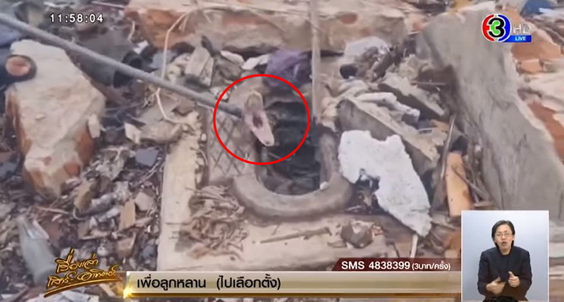 งูเหลือมตัวยักษ์ 4 เมตร นอนกกไข่ 17 ฟอง ในคอห่าน  งูเหลือมตัวยักษ์ 4 เมตร นอนกกไข่ 17 ฟอง ในคอห่าน