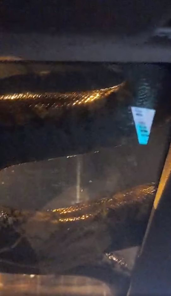 งูเหลือมตัวใหญ่ตกใส่แท็กซี่ คนขับซูมทะเบียนรถให้ดู คอหวยตาลุกวาว งูเหลือมตัวใหญ่ตกใส่แท็กซี่ คนขับซูมทะเบียนรถให้ดู คอหวยตาลุกวาว