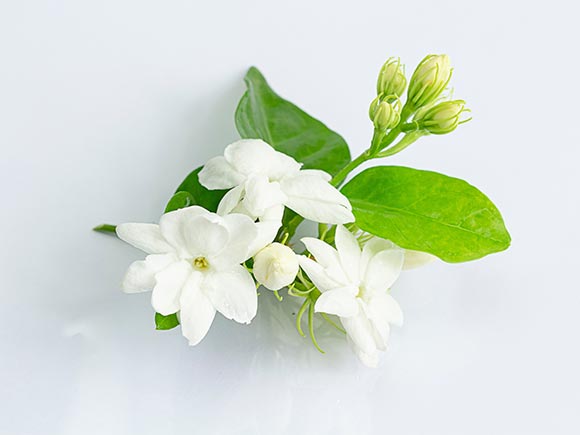 เลขมงคล วันแม่แห่งชาติ เลขมงคล วันแม่แห่งชาติ
