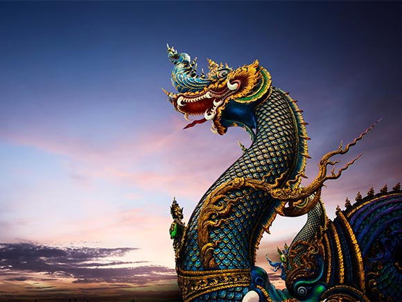 พญานาค พญานาค