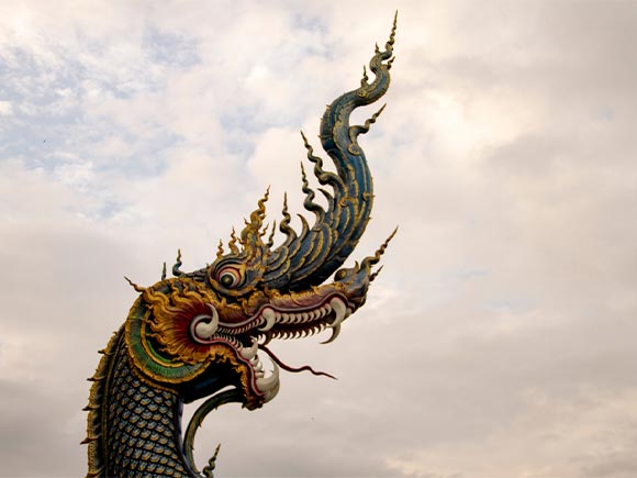 พญานาค พญานาค