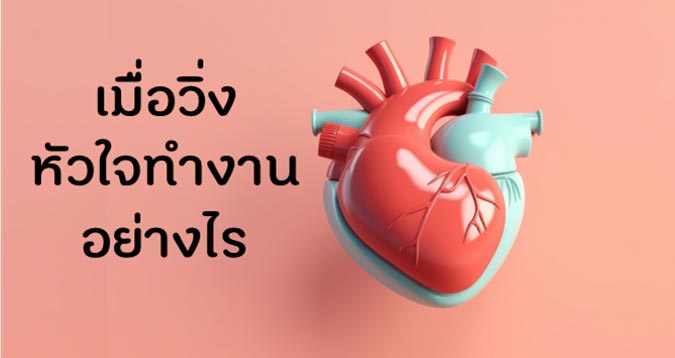heart เมื่อวิ่งหัวใจทำงานอย่างไร