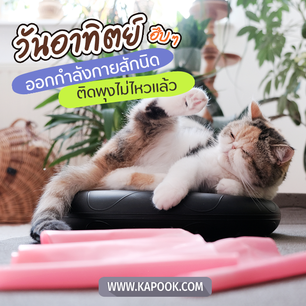 ดูดวงรายวัน ดูดวงรายวัน
