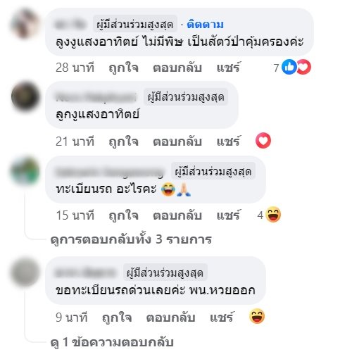 งูเลื้อยกระจกหน้ารถ งูเลื้อยกระจกหน้ารถ