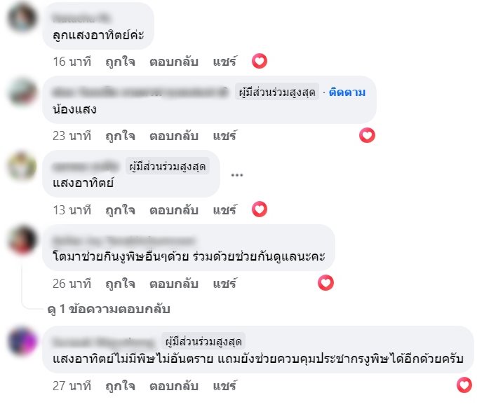 งูเลื้อยกระจกหน้ารถ งูเลื้อยกระจกหน้ารถ