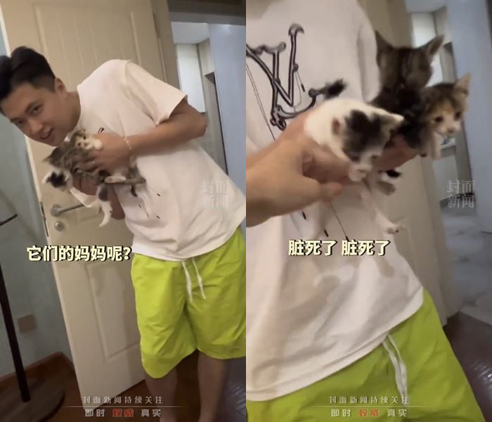 หนุ่มเมา อุ้มแมวกลับบ้าน หนุ่มเมา อุ้มแมวกลับบ้าน