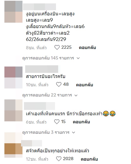 งูบนเครื่องบิน งูบนเครื่องบิน
