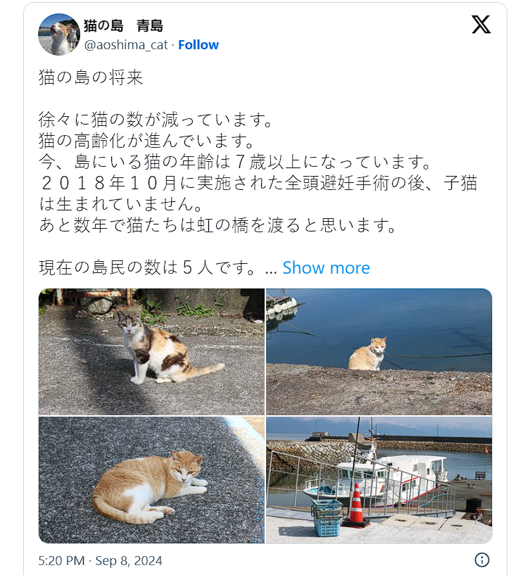 เกาะอาโอชิมะ เกาะอาโอชิมะ จะปิดเกาะจริงไหม