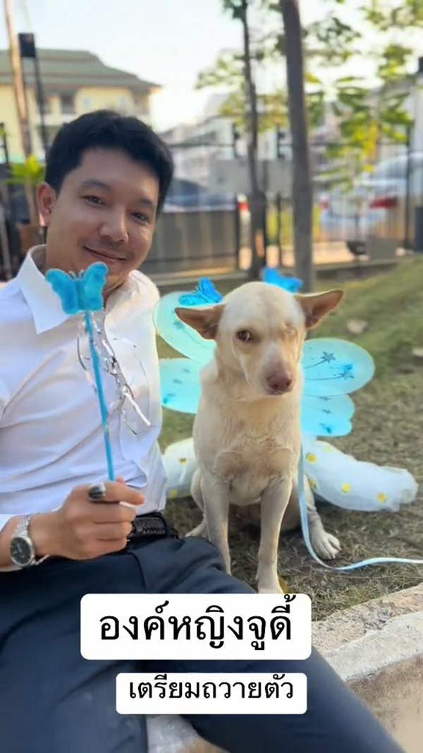 หมา หมา