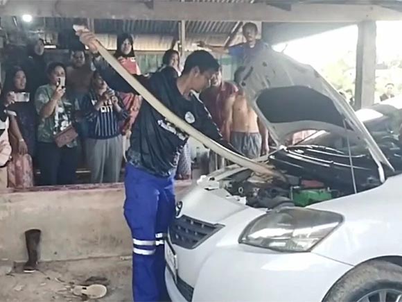 เลขทะเบียนงูจงอางยักษ์ เลขทะเบียนงูจงอางยักษ์