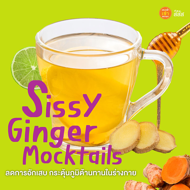 Sissy Ginger สูตร Mocktail