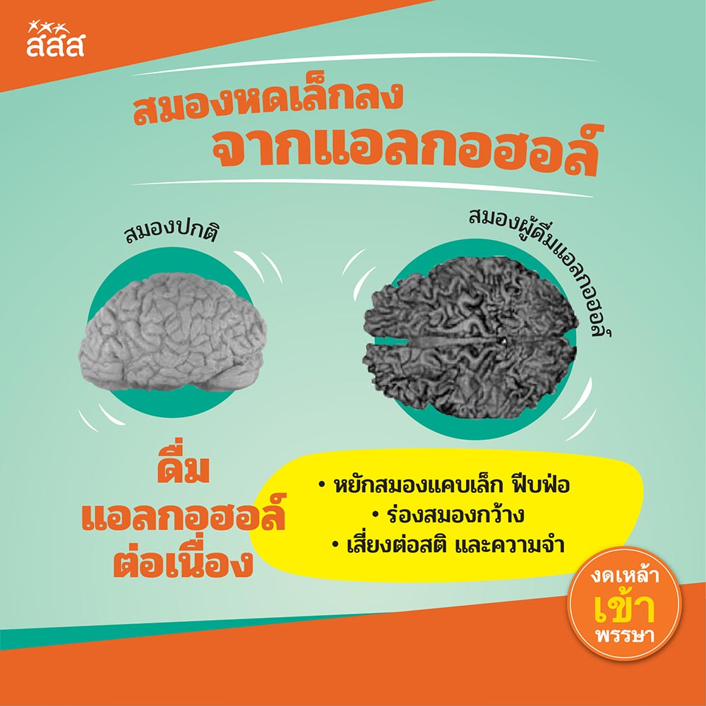 แอลกอฮอล์ทำลายสมอง โทษของเครื่องดื่มแอลกอฮอล์