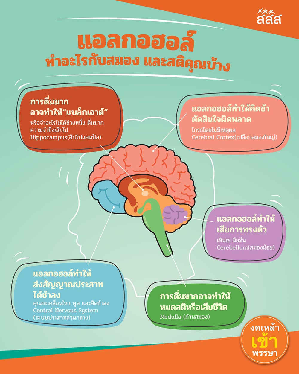 แอลกอฮอล์ทำลายสมอง โทษของเครื่องดื่มแอลกอฮอล์