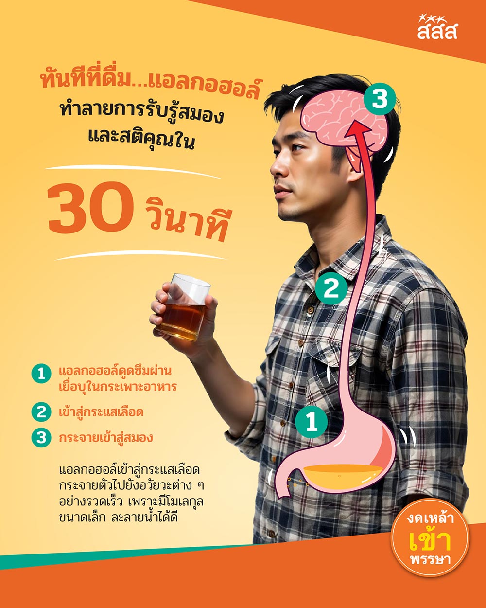 แอลกอฮอล์ทำลายสมอง โทษของเครื่องดื่มแอลกอฮอล์
