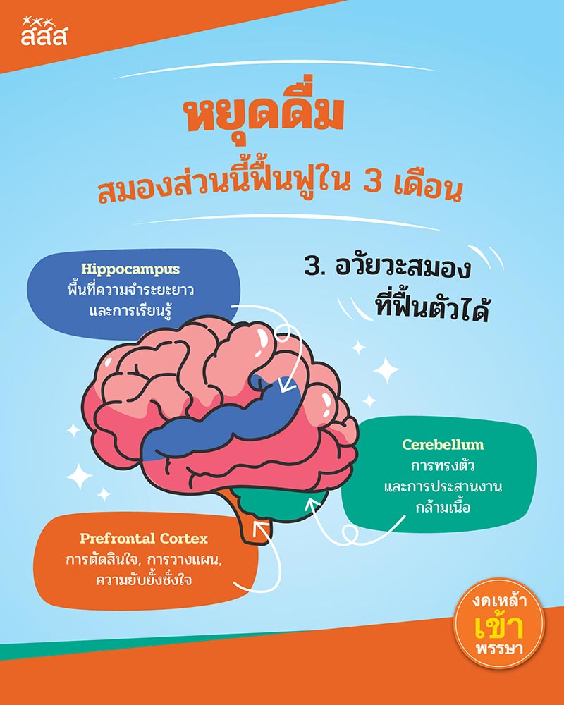หยุดดื่ม สมองฟื้นฟูใน 3 เดือน หยุดดื่มแอลกอฮอล์