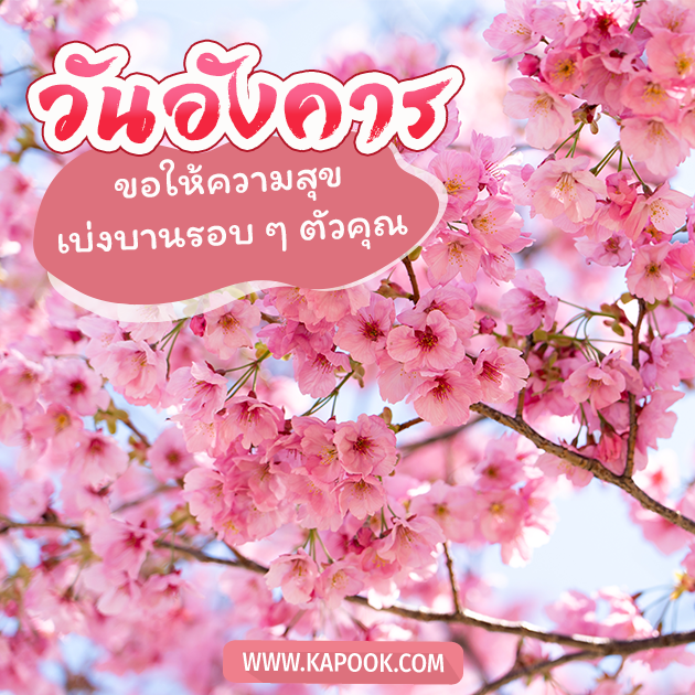 ดูดวงรายวัน ดูดวงรายวัน
