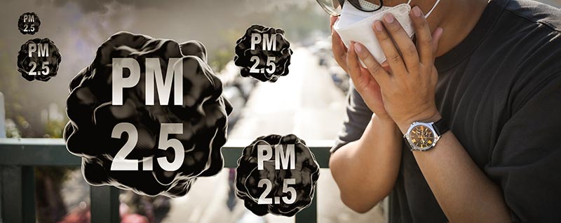 ฝุ่น PM2.5 ฝุ่น PM2.5