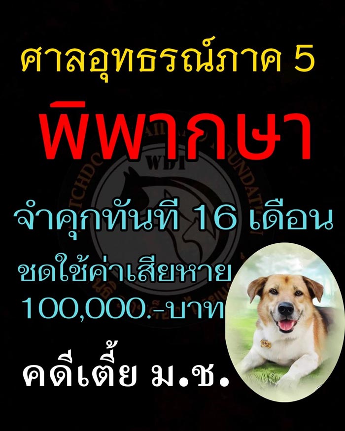 คดีเตี้ย มช. คดีเตี้ย มช.