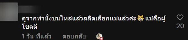 ช่วยลูกแมว ช่วยลูกแมว