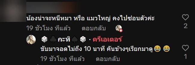 ช่วยลูกแมว ช่วยลูกแมว
