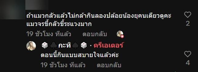 ช่วยลูกแมว ช่วยลูกแมว