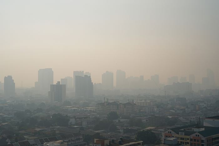 ฝุ่น PM2.5 ฝุ่น PM2.5