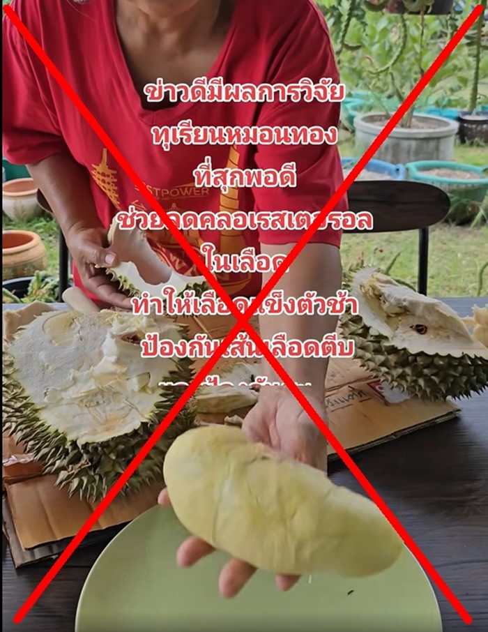 กินทุเรียนหมอนทองสุก ลดคอเลสเตอรอลในเลือด กินทุเรียนหมอนทองสุก ลดคอเลสเตอรอลในเลือด